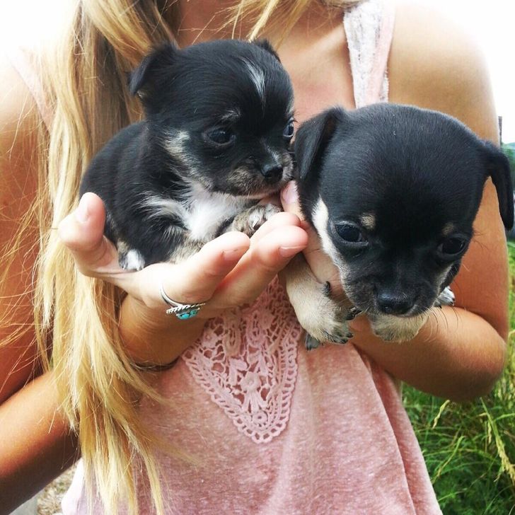 bd40cf51fda463e248e2da4a77