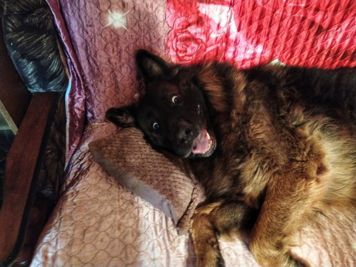 bd43275a6b92b5a510945f328c