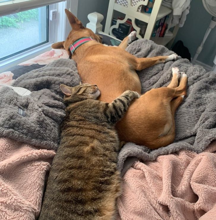 bd48dc563e9e0aaa24ef4e1b19