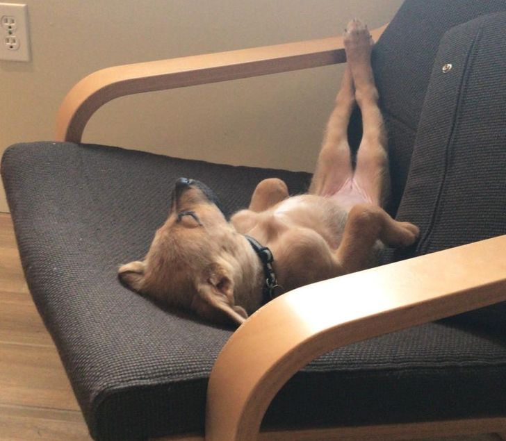 bd4969586a8b4ee77198c2acec