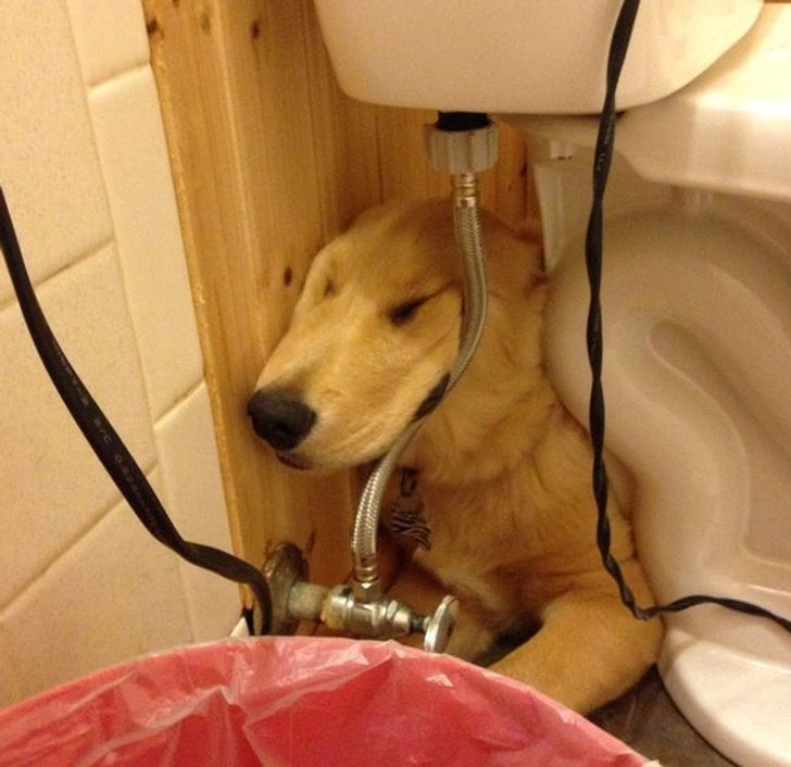 bd4baa58c5b08962f4095400f0