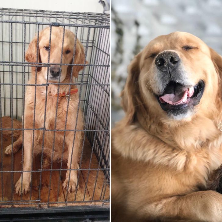 bd4d9e5d49a5ed2a7f7c14cd2b