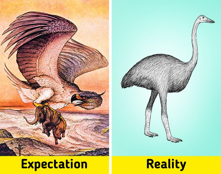 bd4ff853408724f615a9e962a2