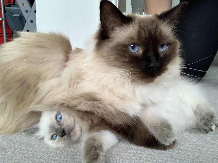 bd50b95a24bf5eababc850f765