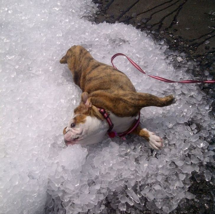 bd51fc50a1985a04fbcec69f1d