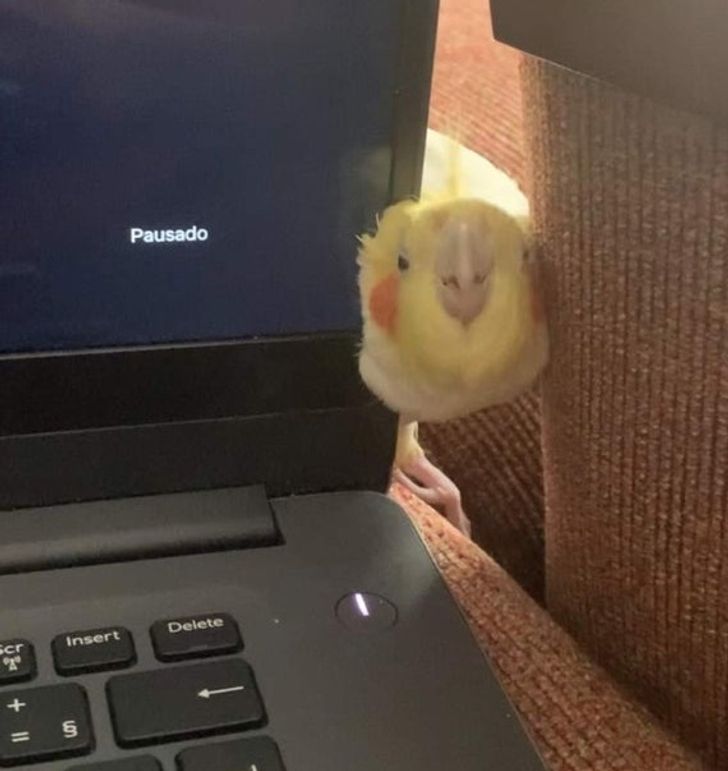 bd526f5404b634ab908edf4ce3