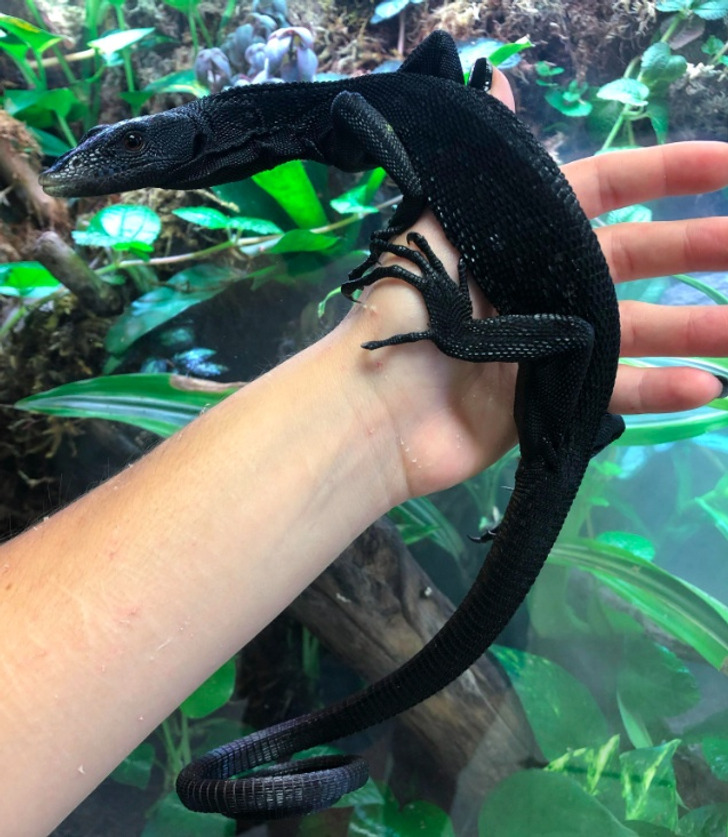 bd5c17502095cd6e54ebd8fc08