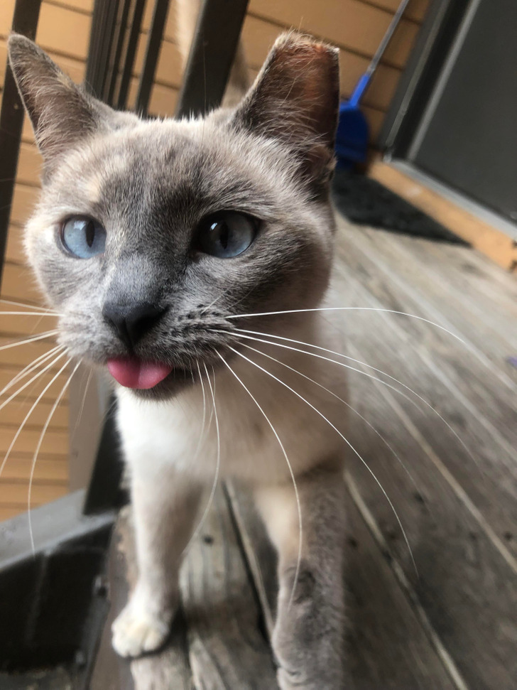 bd5d135b929b3d46747221534f