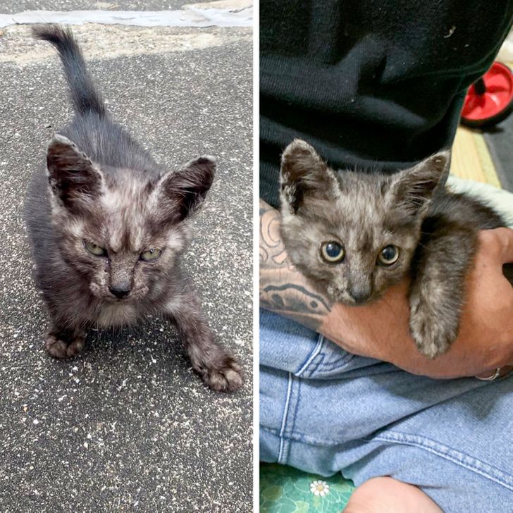 bd62215ac7b5b1b8ee5499f796