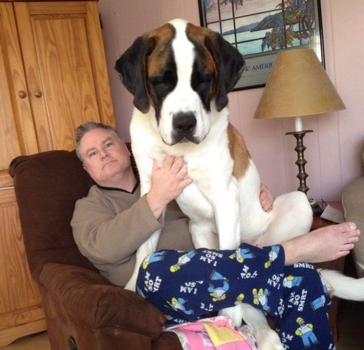 bd75915bca97e48c6215f28a0e