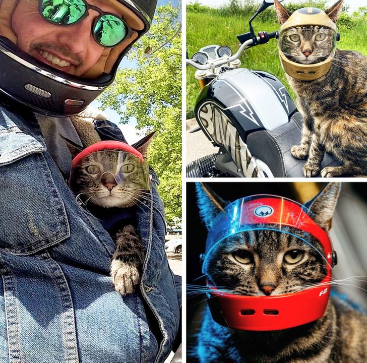 bd856f54909a3f6706729216a2