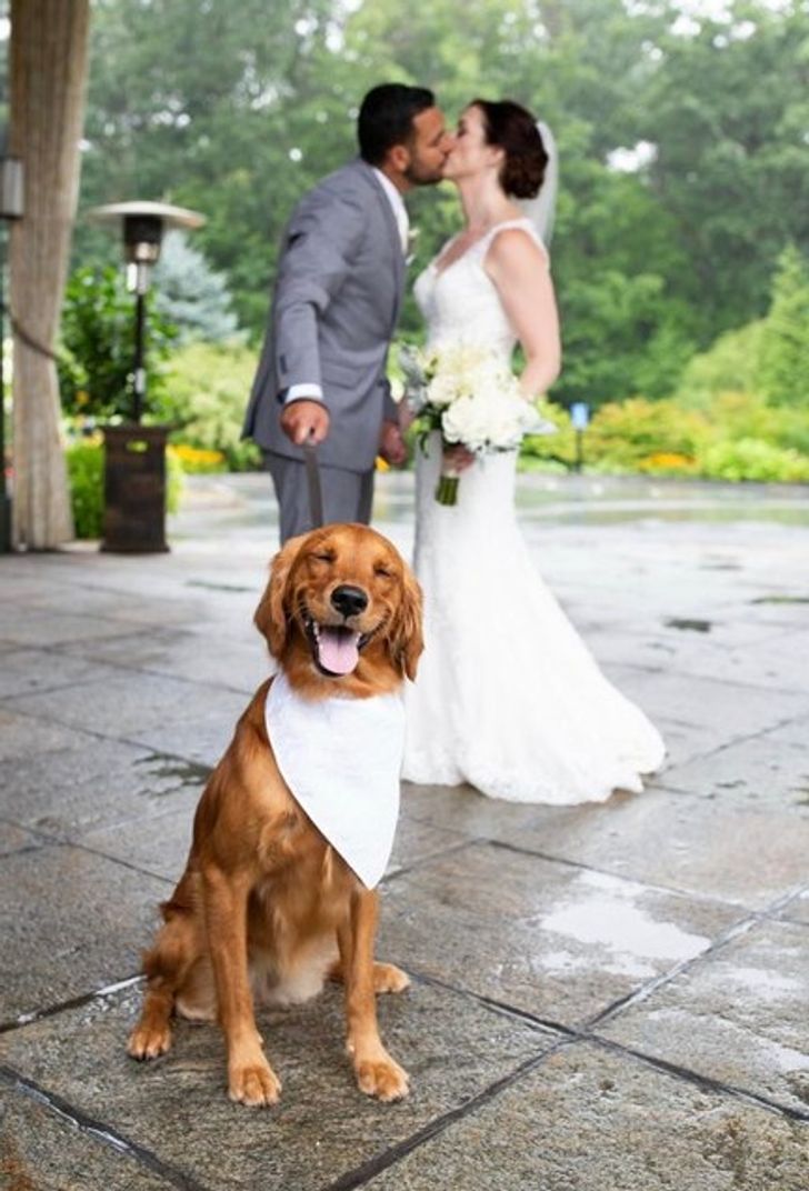 bd92235f839dc8c4bbf2589021