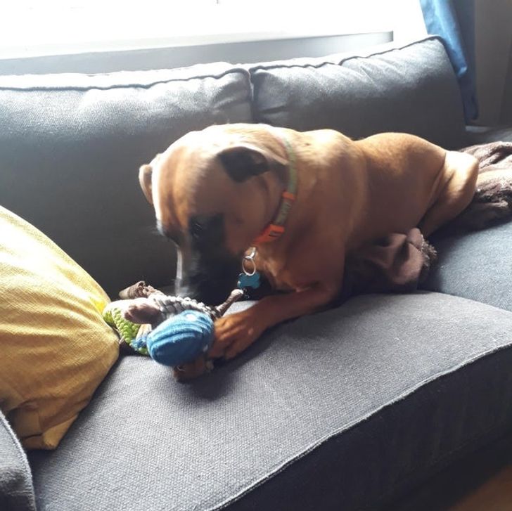 bd93535068812834baa8c062a1