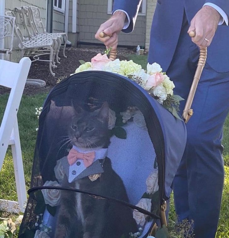 bd93ed5cf6be403cbb431acc70