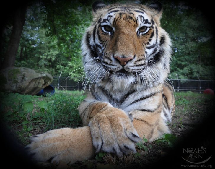 bd94cc58478c43b8f5f9749e6d