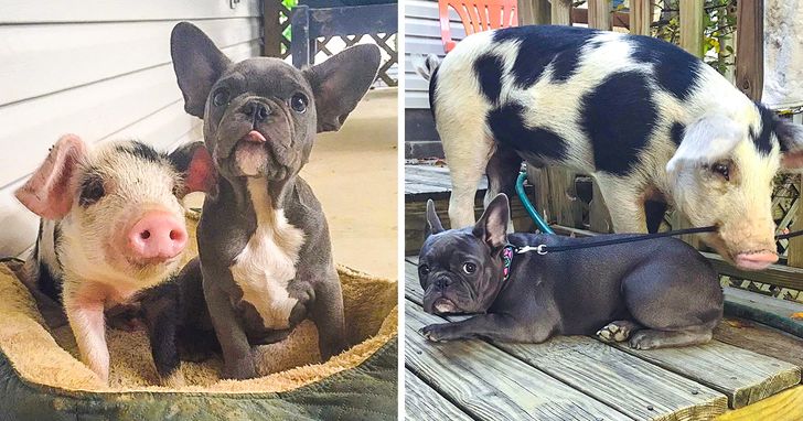 bd9a935f3ab76ab0de16f380ea