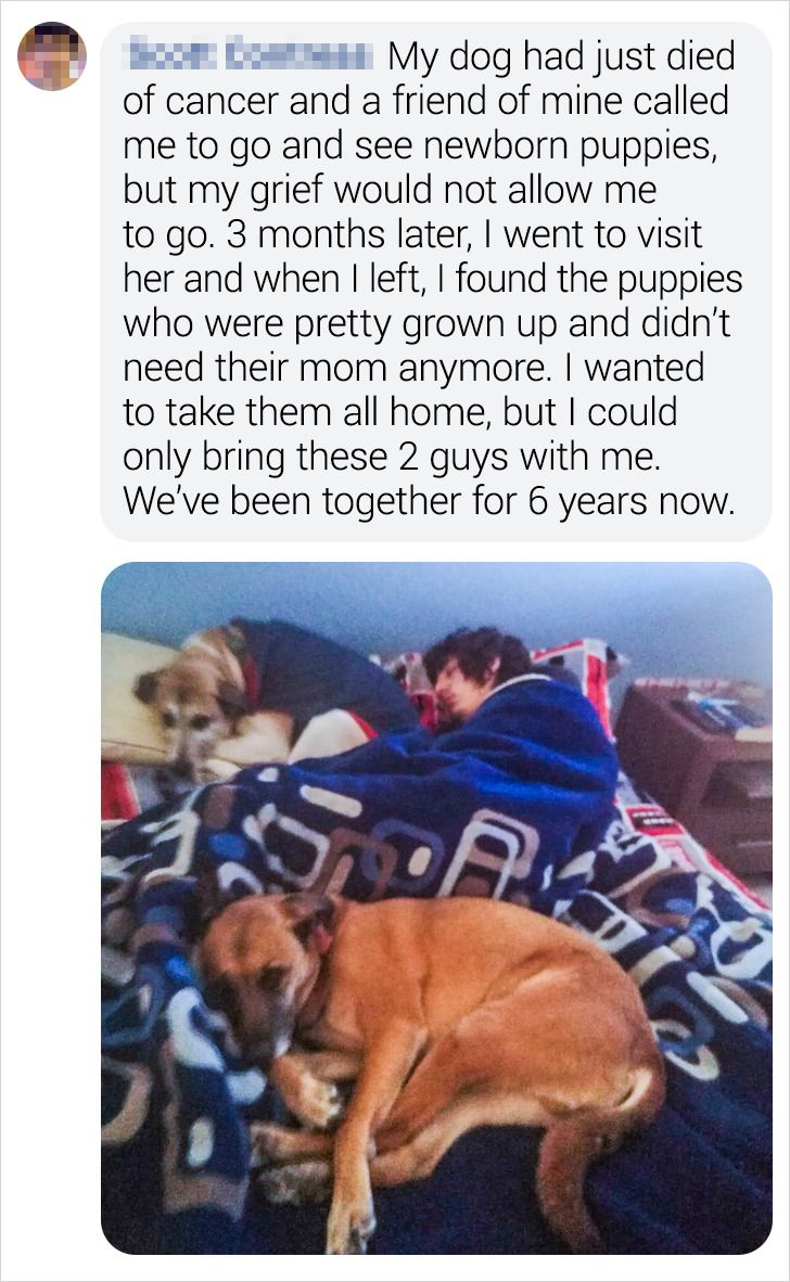 bd9ca35a1f87c3dbc2020e0e24