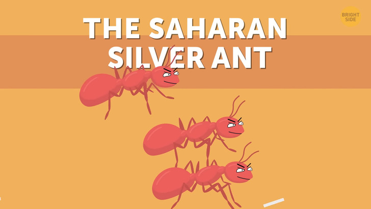 bd9dbe5f44b37638256c21e014 bd9dbe5f44b37638256c21e014