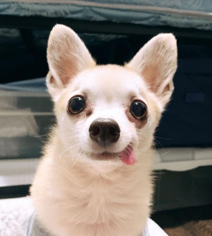 bd9f2b5f06ab2a5ff3834f2c25