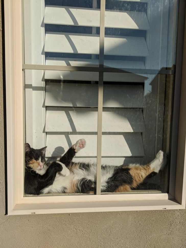 bda7885100990ac66536ff2881