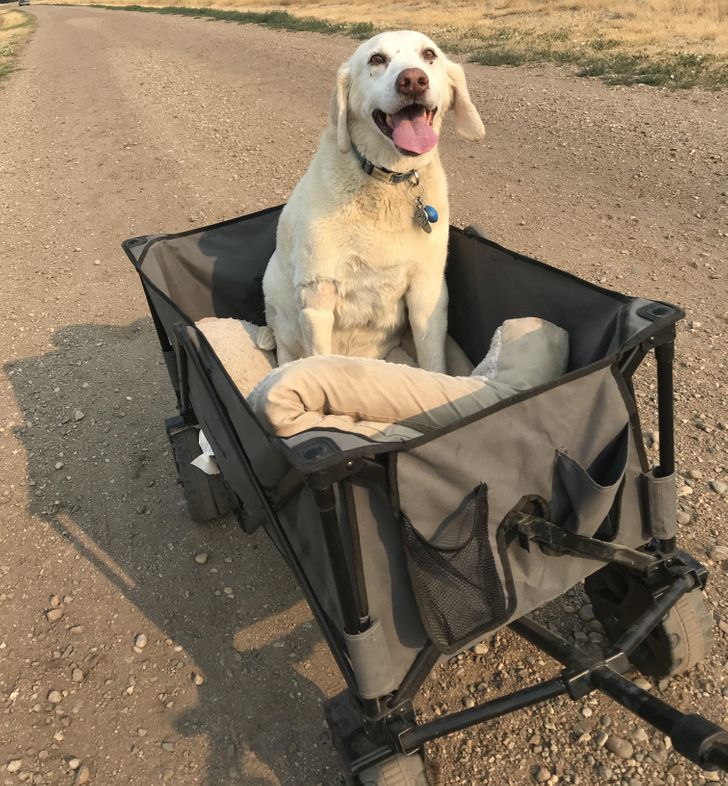 bda78f52bd948007796d5da37d