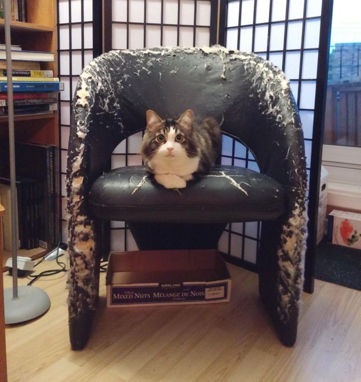 bda9c05b07a3b4690be9ab64be