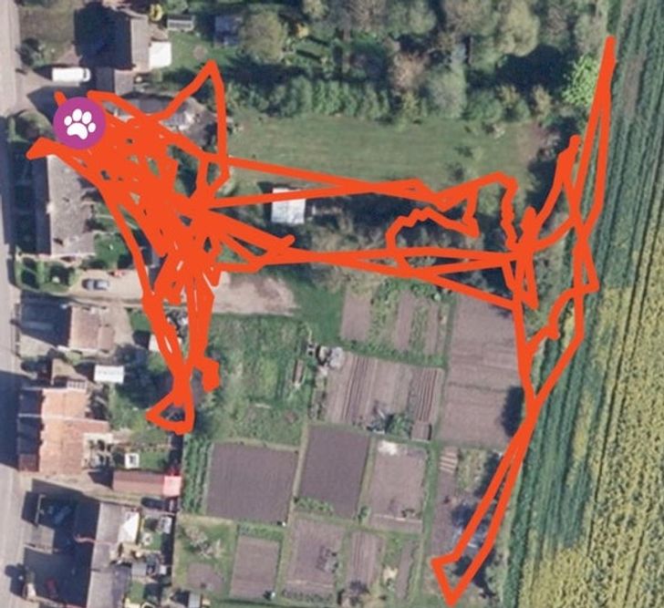 bdb5bc566cb0e8a5a7968e1065