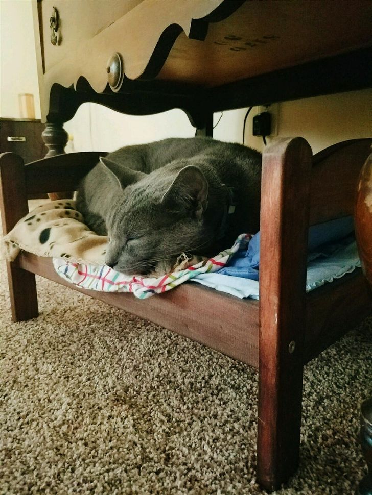 bdb76057448dea6b9eba4f0654 bdb76057448dea6b9eba4f0654