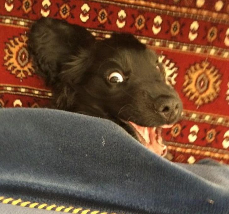 bdbd045236bf395b5ab0d3387f