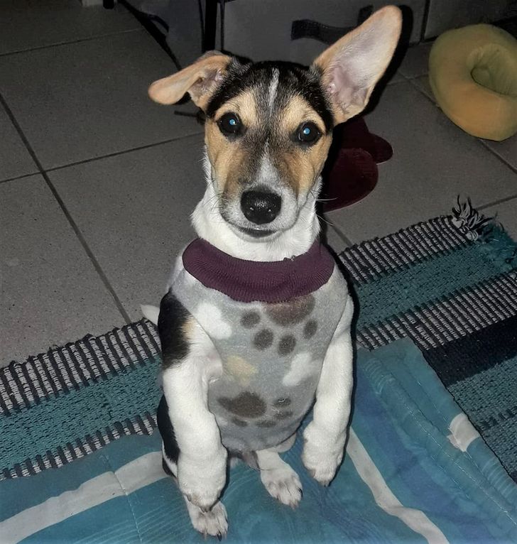 bdbd6e5947adff781f76fe551f