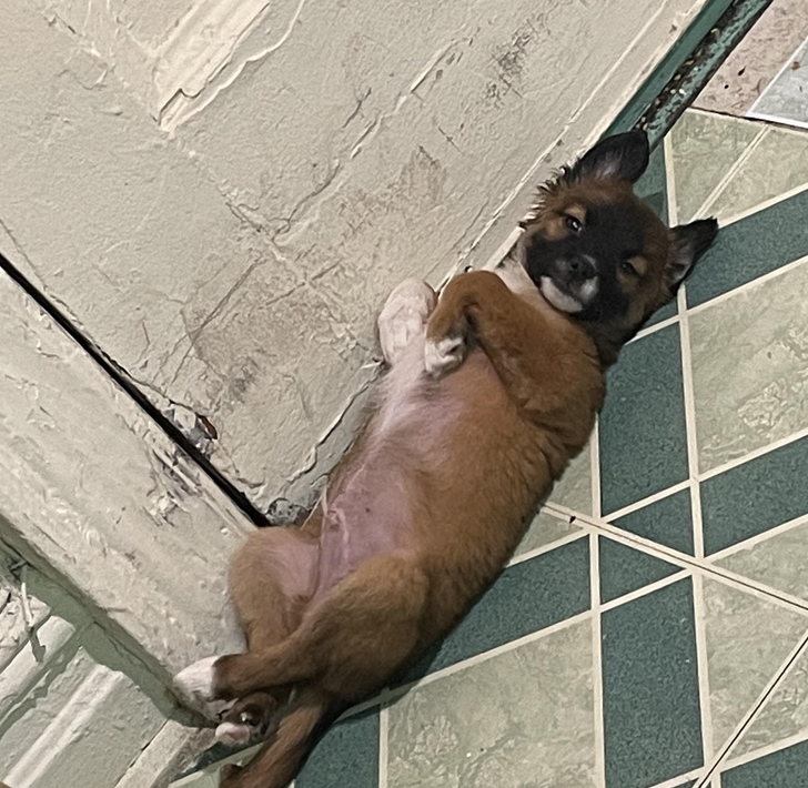 bdc22559dc8f335c5af1225d65