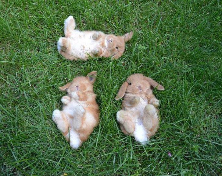 bdca7559f68b4458176f99b274