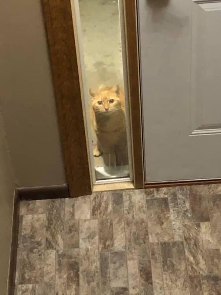 bdccfa5855b9cf68fa8568a729