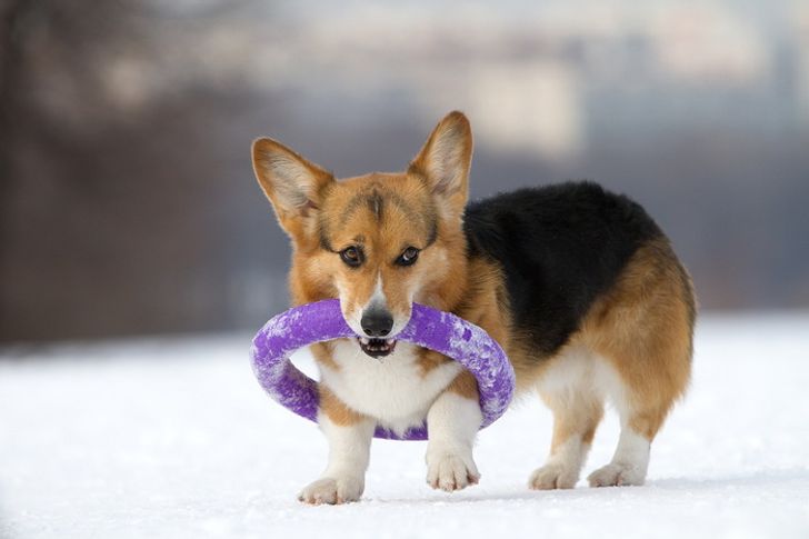 bdd6b65f1b8c680ab9c8f9512a