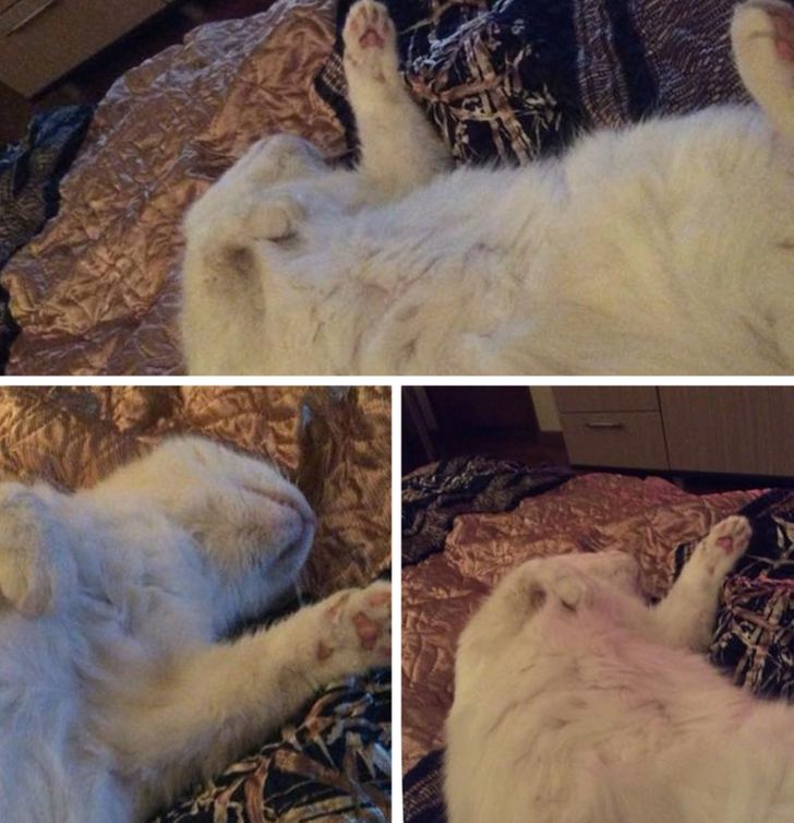 bdd8b05c5f9d75fe63def75c47