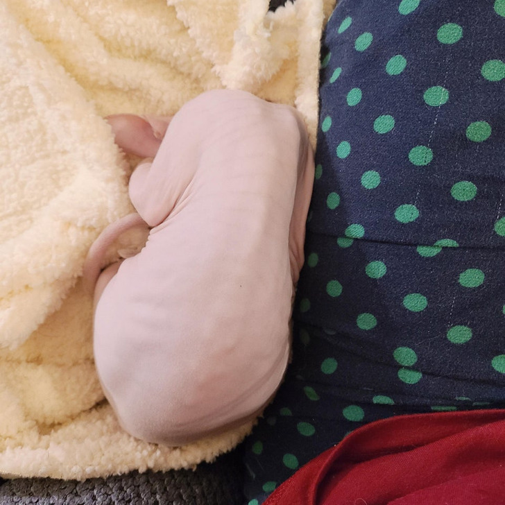 bdd95753369412a23ad431ffec bdd95753369412a23ad431ffec