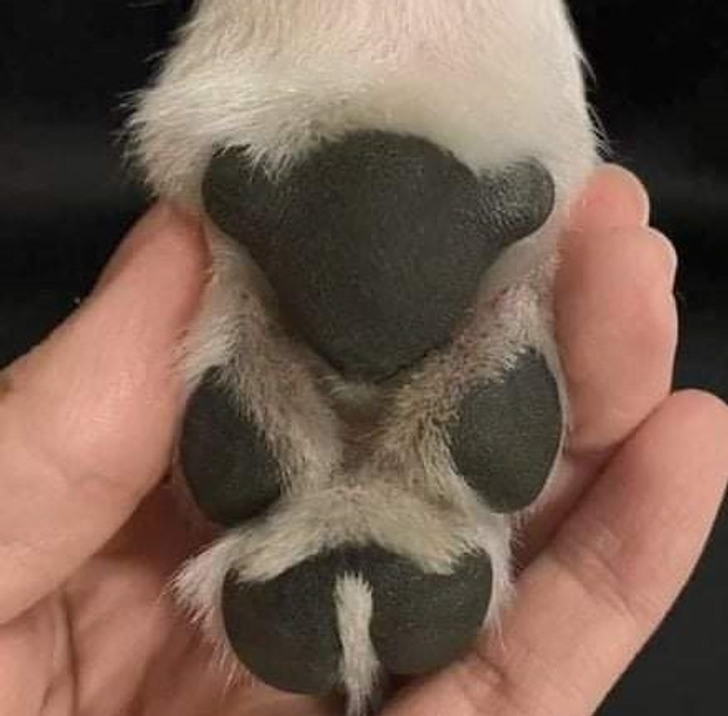 bddd2c5f8a95af2f997ce8bf32