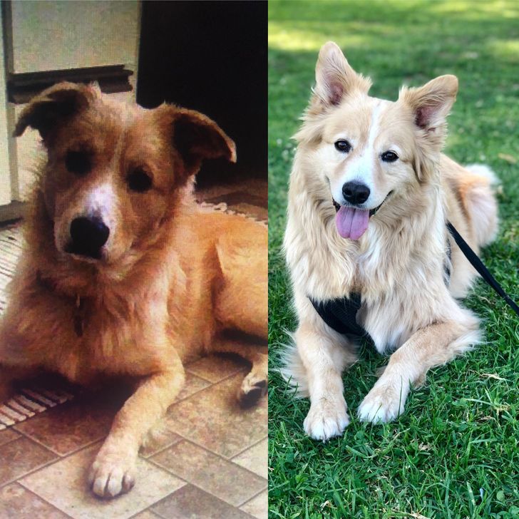 bde13053cab0969b43885585e8