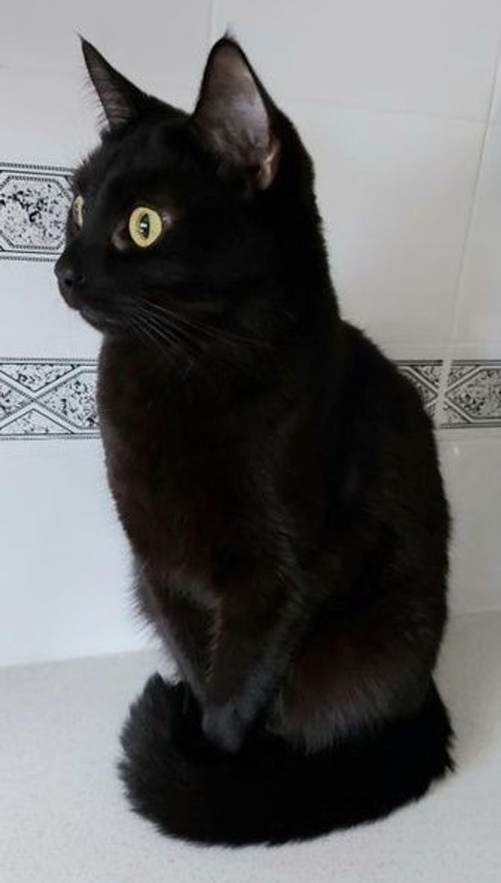 bdf28452e6b5e8ef50fac8bb12