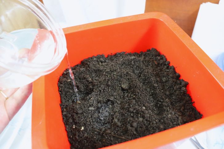 bdf32854eaa309d6c06831f74f