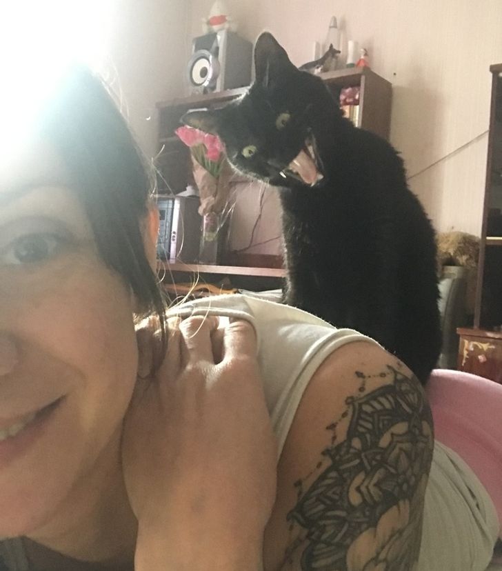 bdf48c5aed81c7209139d0ccad