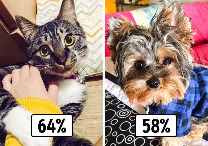 be00045ab6ba4b6e209e9bfe68