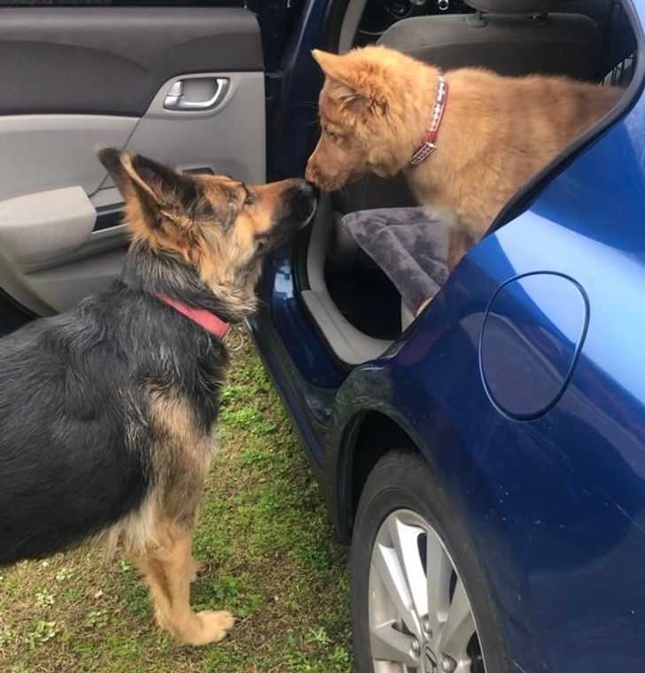 be0a25586ea404d52ae886ac7a