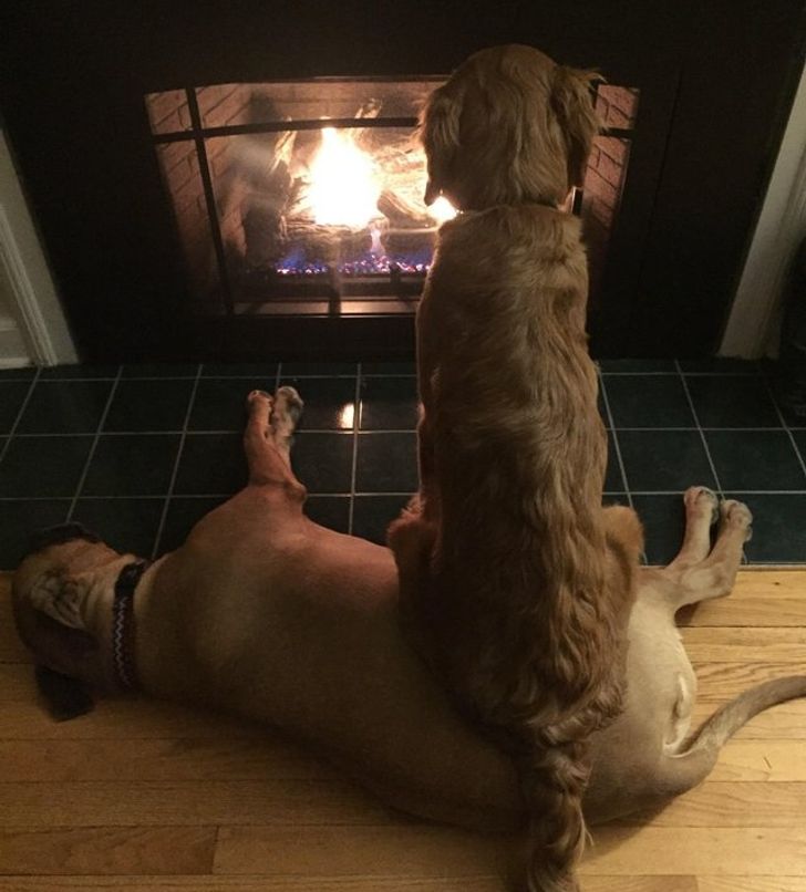 be0ecc5c02b58755ff901fd39c