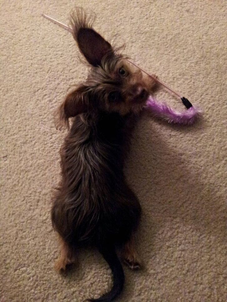 be0edd59e599c76b6a69ad5441