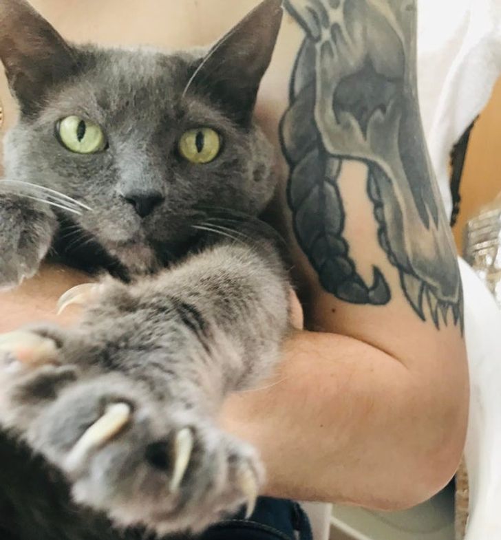 be0f8c51419f99254ed56bf24d