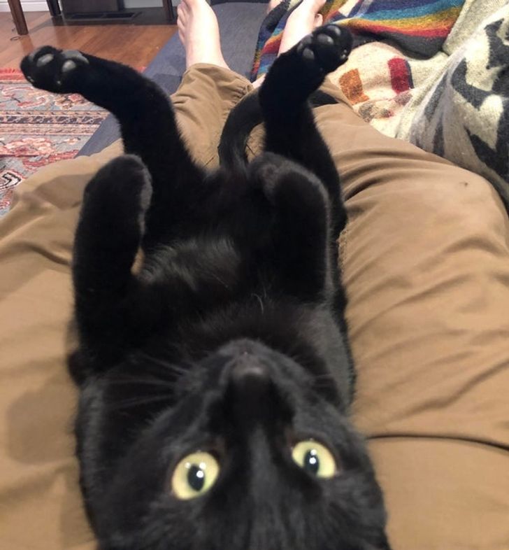 be14f65b65b5d3b68a3dd4c80b