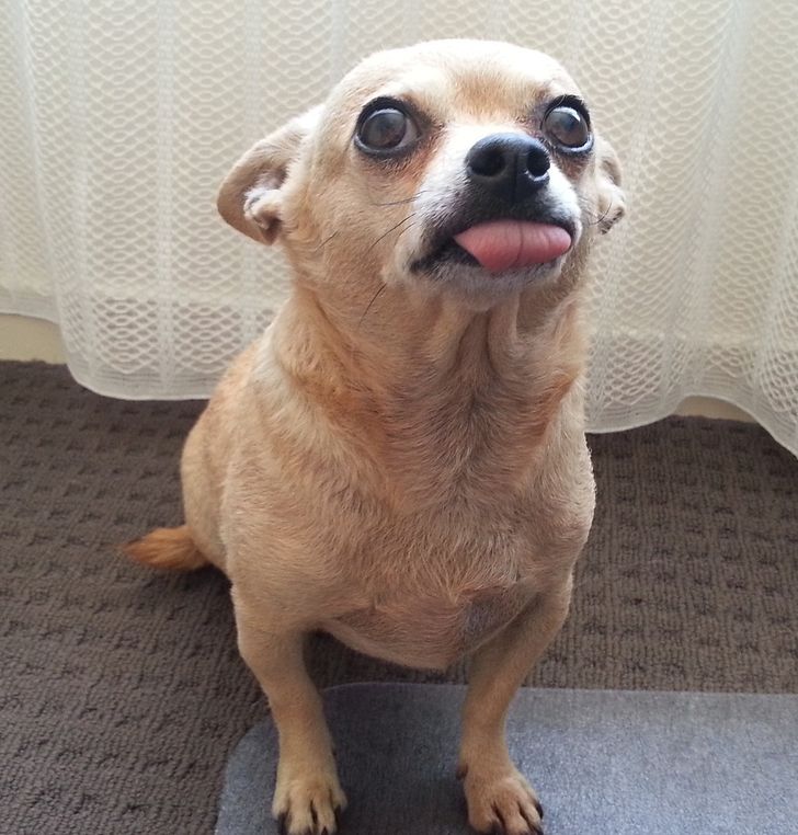 be1c32541ea398690ba701c450