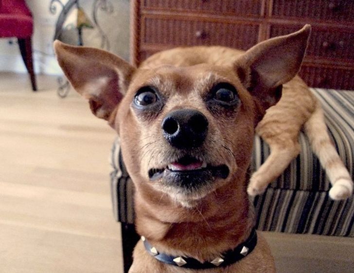 be1c9457039ecfca091aae870e