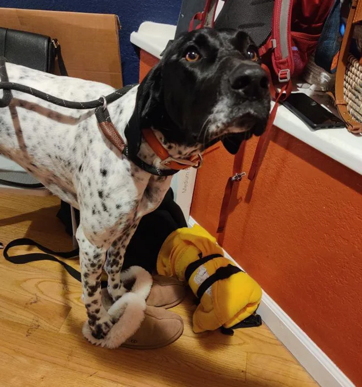 be1f415250ac5f05c3ae4ef47e